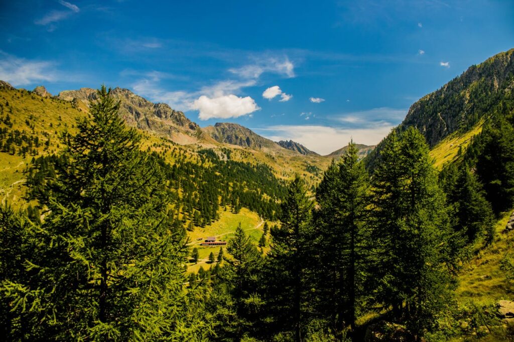 pexels-photo-3163943 High Angle Shot Of Tall Green Trees On Mountain Slopes Under Blue Sky