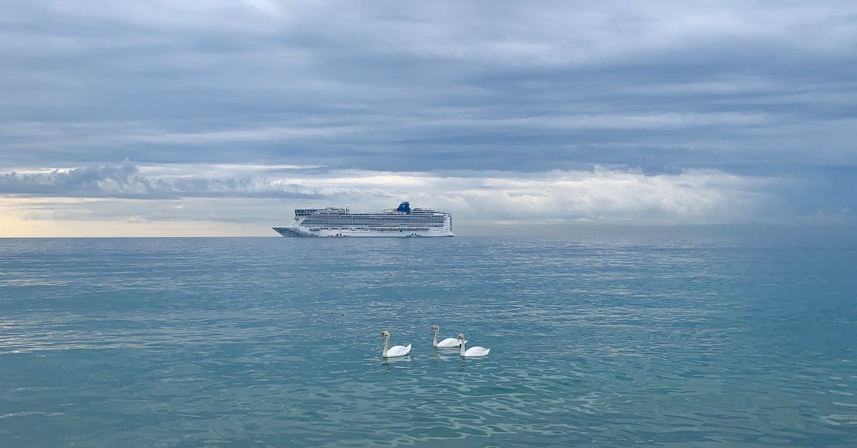 découvrez cannes, la perle de la côte d'azur, célèbre pour son festival international du film, ses plages de sable fin et son ambiance glamour. explorez ses ruelles pittoresques, savourez la cuisine méditerranéenne et profitez d'un cadre idyllique entre mer et montagne.