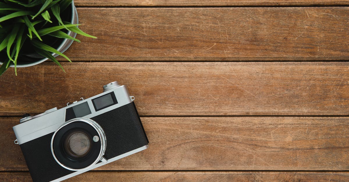 découvrez l'art de la photographie, une passion qui capture les instants fugaces et révèle la beauté du monde. que vous soyez débutant ou professionnel, explorez des techniques, des conseils et de l'inspiration pour enrichir votre expérience photographique.