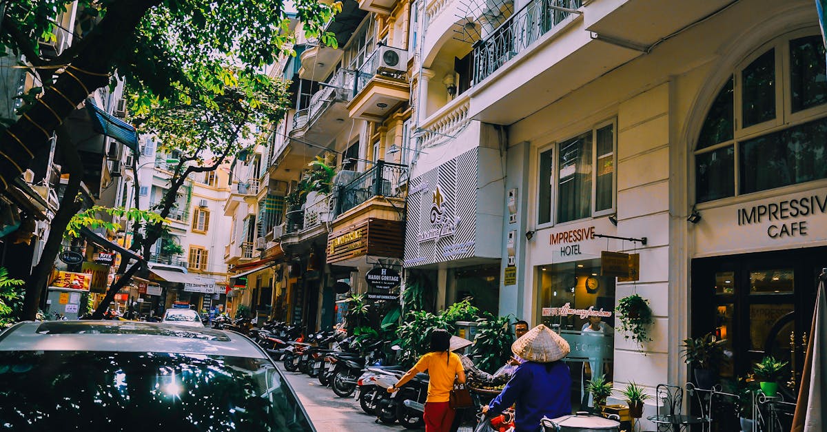 découvrez le vietnam, un pays riche en culture et en paysages à couper le souffle. explorez ses paysages verdoyants, sa délicieuse cuisine, et ses villes dynamiques entre tradition et modernité. préparez votre voyage au cœur de l'asie du sud-est, où chaque région offre une expérience unique et mémorable.