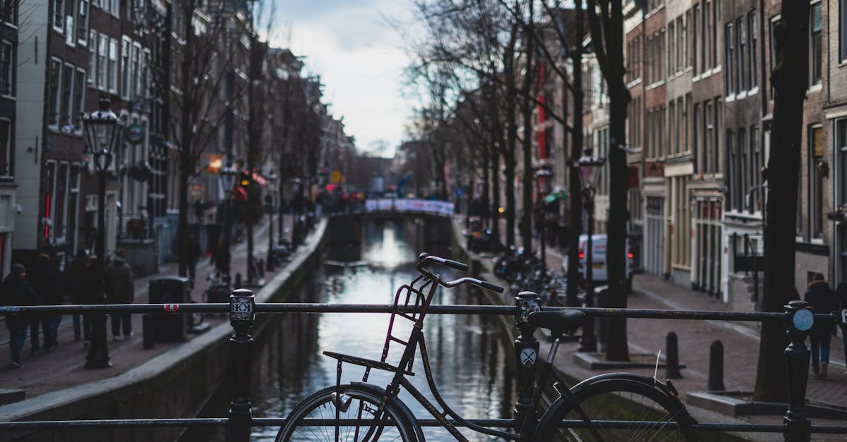 découvrez amsterdam, la capitale des pays-bas, célèbre pour ses canaux pittoresques, ses musées renommés et son ambiance cosmopolite. plongez dans l'histoire fascinante de cette ville vibrante et explorez ses délicieuses spécialités culinaires, ses boutiques uniques et son art de rue captivant.
