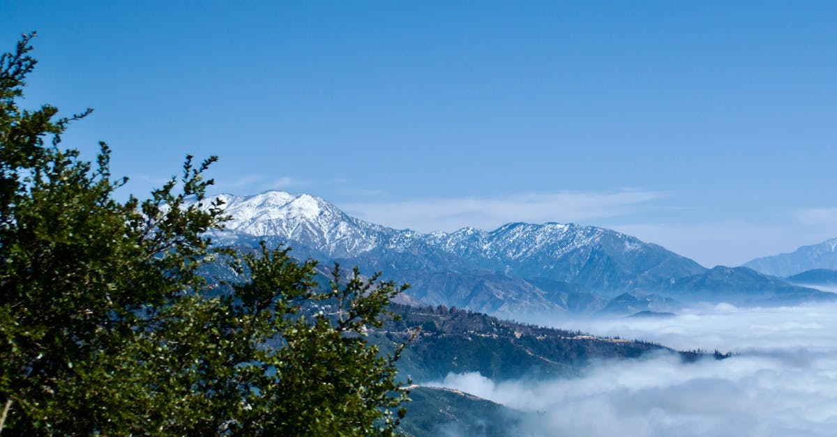 découvrez les vastes paysages et l'histoire fascinante de l'ouest américain, une région emblématique au cœur de la culture des pionniers, du far west et des mythes qui ont façonné l'amérique moderne.