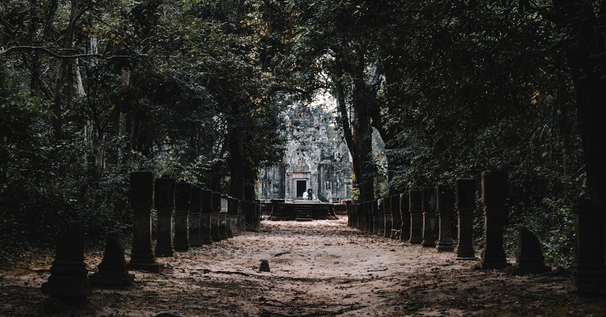 découvrez l'aventure ultime avec le mystère du voyage ! laissez-vous surprendre par des destinations secrètes, des expériences inoubliables et une atmosphère d'exploration. préparez-vous à vivre l'inattendu et à créer des souvenirs magiques à chaque étape de votre périple.