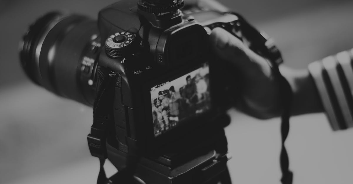 découvrez l'univers captivant de la photographie : techniques, astuces et inspirations pour immortaliser vos moments préférés avec créativité et passion.