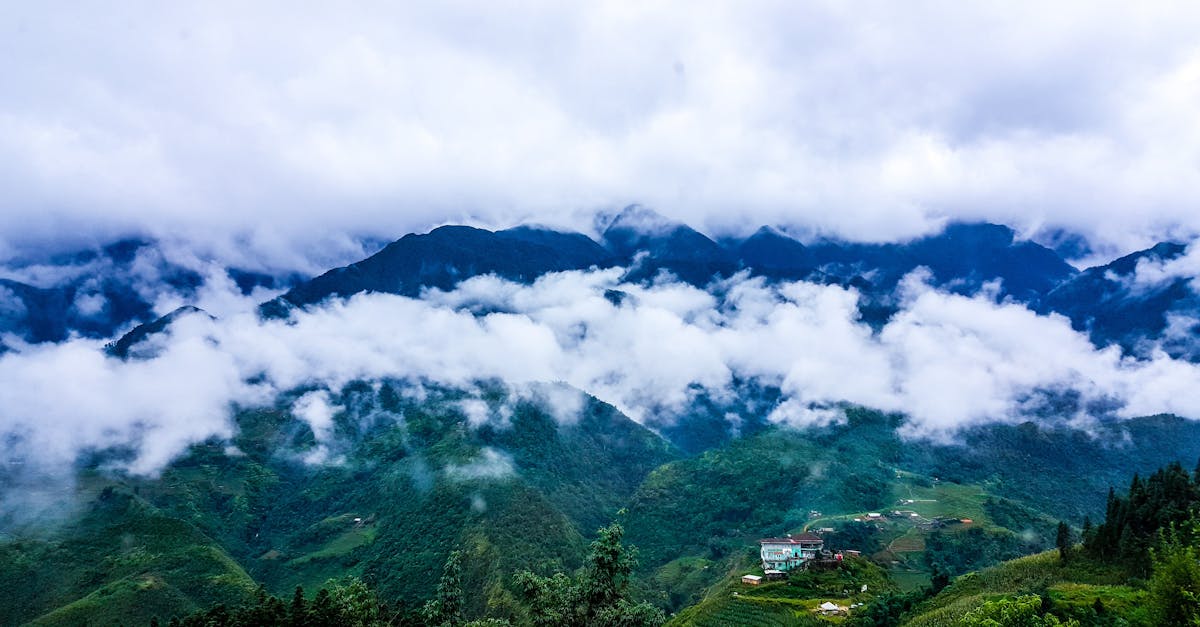 découvrez le vietnam, un pays fascinant alliant histoires anciennes, paysages époustouflants et une culture riche. explorez ses villes dynamiques, savourez sa gastronomie unique et immergez-vous dans la beauté naturelle de ses rizières et lagunes.